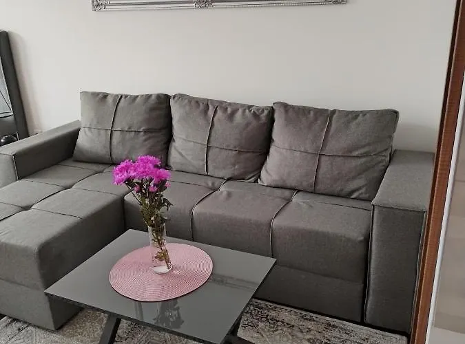 007 Διαμέρισμα Κραγκούγιεβατς